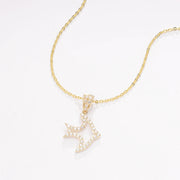 Raprgold 14K Solid Gold Cubic Zirconia Animal Pendant with 925 Silver Link Chain 20'' Delicate Necklace In The Shape Of A Fish